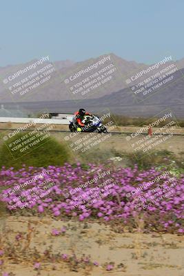 media/Feb-04-2023-SoCal Trackdays (Sat) [[8a776bf2c3]]/Turn 15 Inside Blooming (1050am)/